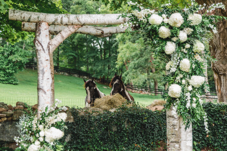 Read more about the article English Garden Wedding