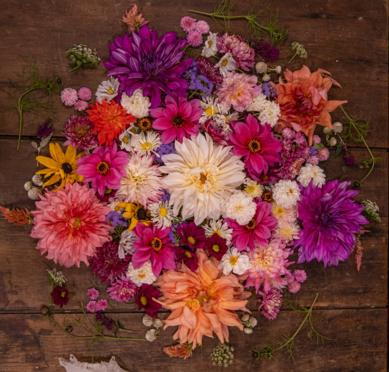 Read more about the article Flowers in Literature