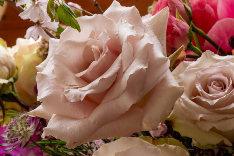 Read more about the article Flowers and the Physical Manifestation of Love